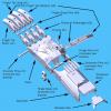 Raptor Hand Exploded View